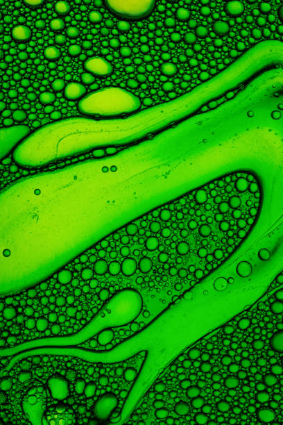 green abstract background with oil bubbles