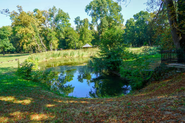 istock A small lake with trees on the shore. 2167290927