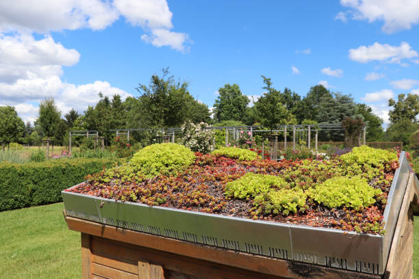 istock Green roof planted with succulent plants 2167292270