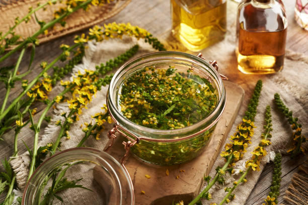 istock Making herbal tincture from fresh chopped agrimony flowers 2167292364