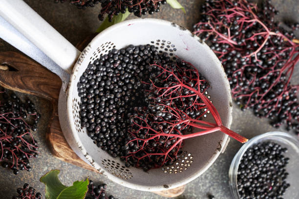 istock Fresh wild black elderberries in a colander - ingredient for herbal syrup 2167292948