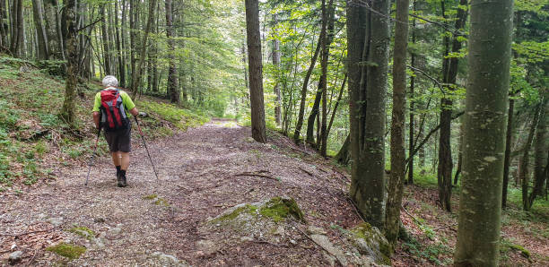 istock Senior men hiking the forest footpath 2167294979