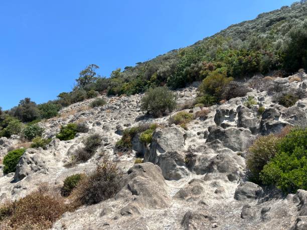 istock Rock of Gibraltar 2167296380