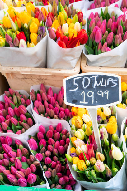 istock Colorful tulips on sale 2167300234