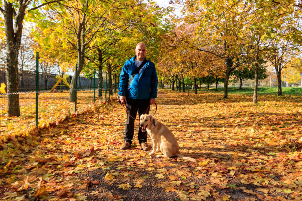 istock Handsome man walking his labrador retriever dog in autumn park 2167300540
