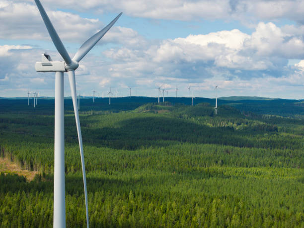 istock Wind power in a forest landscape in summer 2167305644