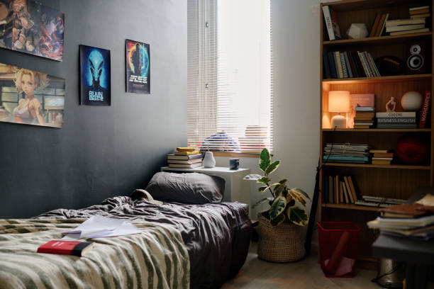 istock Cozy Bedroom with Sci-Fi Posters and Bookshelves 2167307349