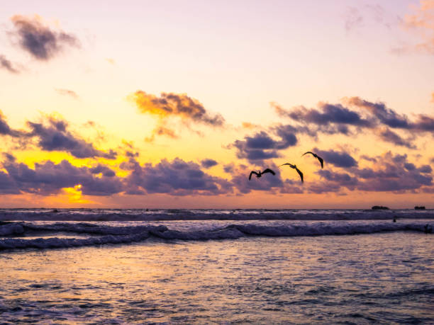 istock Guiones Beach, Guanacaste, Costa Rica 2167314876