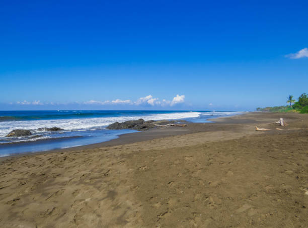 istock Junquillal Beach, Guanacaste, Costa Rica 2167314888