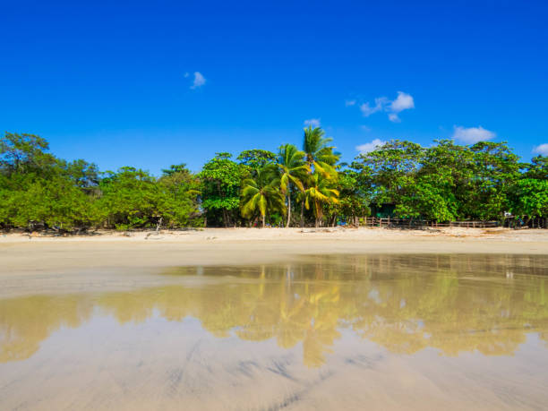 istock Playa Avellanas, Guanacaste, Costa Rica 2167315136