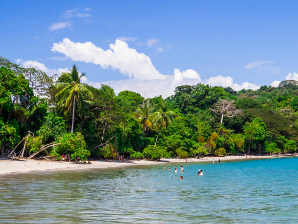 istock Manuel Antonio National Park, Costa Rica 2167315462