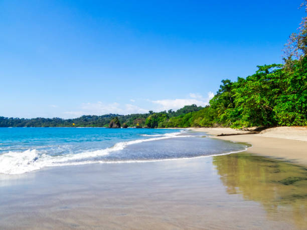 istock Manuel Antonio National Park, Costa Rica 2167315498