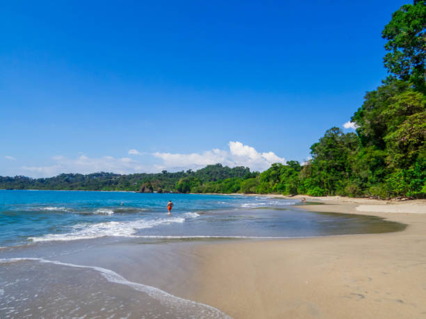 istock Manuel Antonio National Park, Costa Rica 2167315502