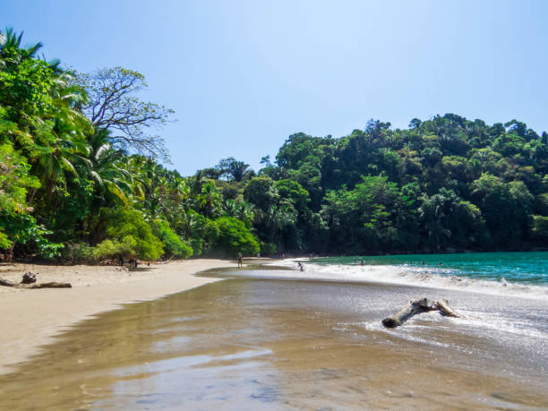 istock Manuel Antonio National Park, Costa Rica 2167315504