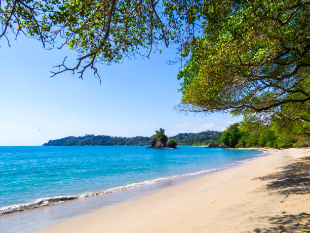 istock Manuel Antonio National Park, Costa Rica 2167315533