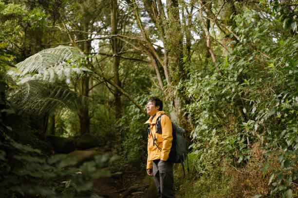 istock Traveler in a yellow jacket stands surrounded by lush greenery 2167319474