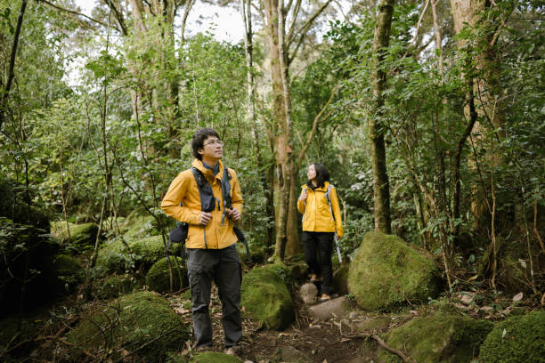 istock Hikers pause to take in the lush forest surroundings. 2167319499
