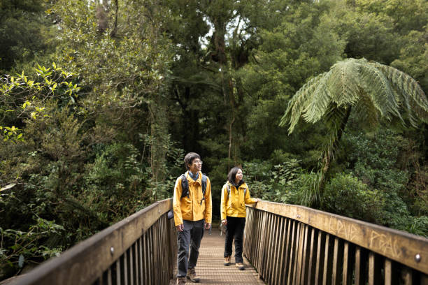 istock Young hikers crossing a forest bridge surrounded by lush greenery. 2167319520