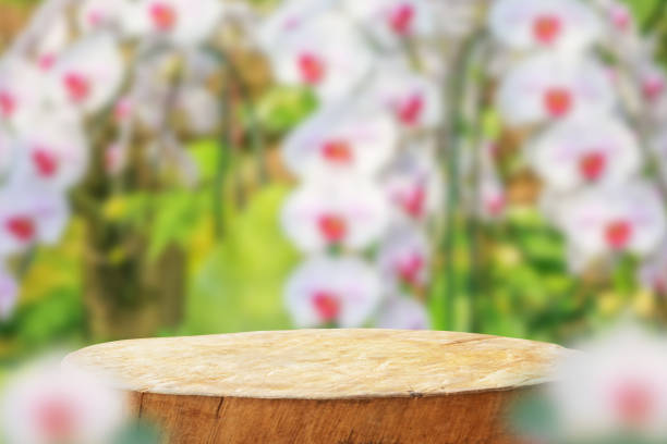 istock Empty old tree stump table top with blur orchid garden background for product display 2167322211