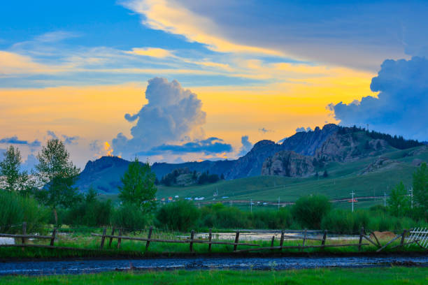 Montana fields