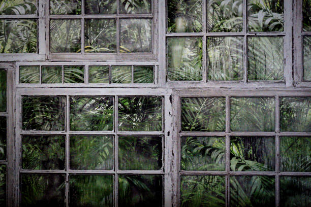 Greenhouse, garden wallpaper with vintage looking window frames
