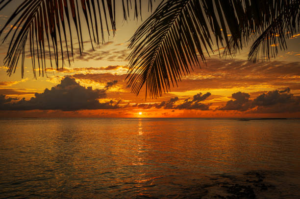 istock Tropical paradise beach and dramatic sky during the sunset 2167331513
