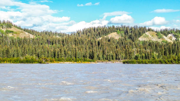 The Copper River Basin, located in Interior Alaska, offers a stunning view during the Fall season. The flood waters give note to the power of the river.