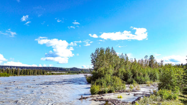istock Flood Waters of Copper River Basin - Interior Alaska 2167334479