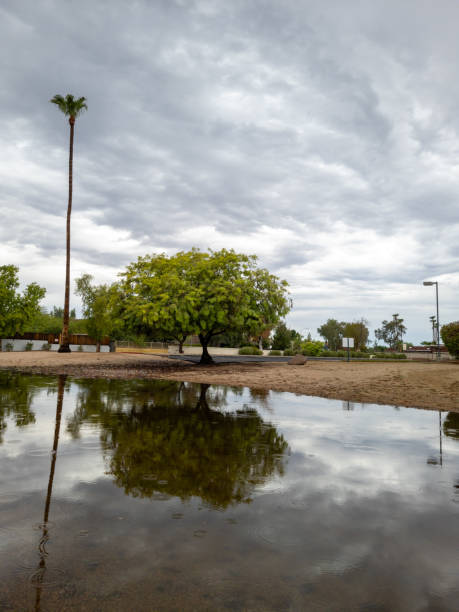istock Light Last Rain Drops after Torrential Monsoon Storm 2167334625