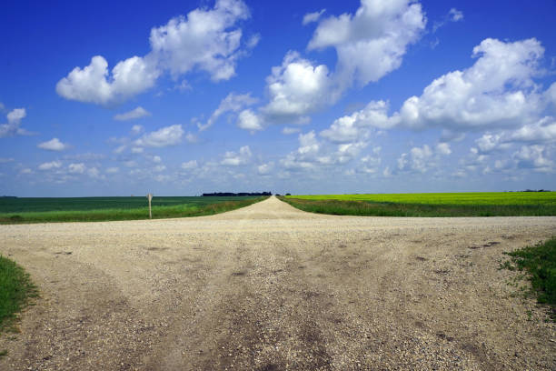 Crossroads in the countryside in north-eastern Saskatchewan with grain fields stretching into the distance under blue skies