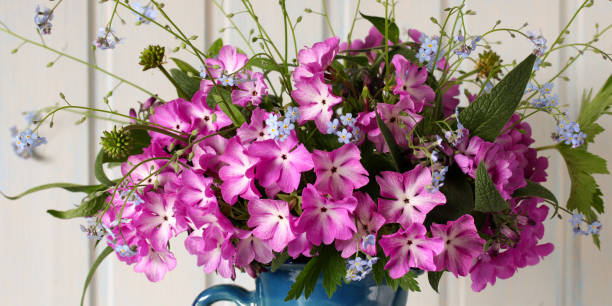 istock floral background, garden spring primroses and forget-me-nots. nature, springtime. 2167336399