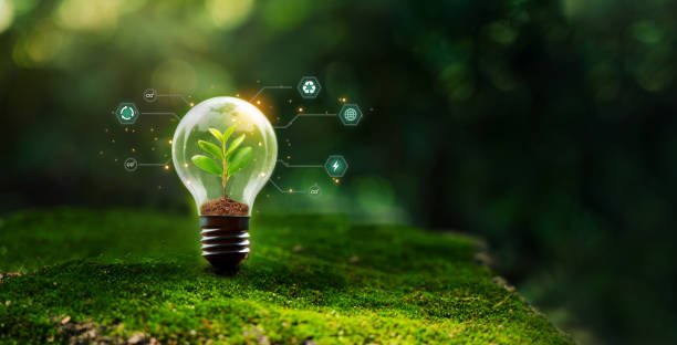 istock Globe bulb and renewable energy concept of sustainable development environmental protection achieve business goals, green business. 2167338332