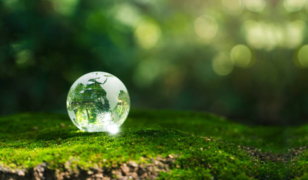 istock Crystal earth in forest Environment, save world, earth day and conservation and renewable energy concept. 2167338335