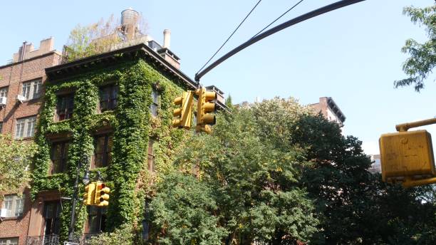 New York City street crossroad, yellow traffic light, transport road intersection, United States. New York City Irving street crossroad, traffic light. Building architecture. Rooftop water tower, tank. Red brick house, Manhattan, United States. Green corner, ivy vine plant, leaves covered wall. grapevine texas city stock pictures, royalty-free photos & images