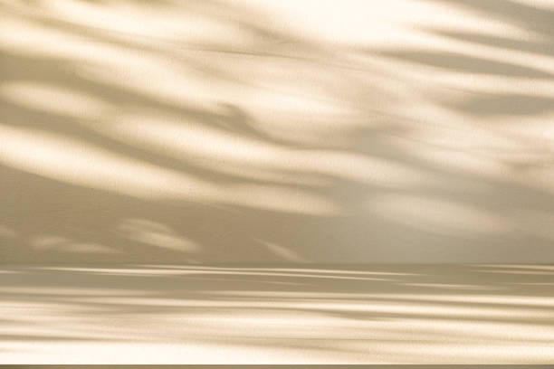 istock Studio style background wall decoration presentation uses white and beige tones. with shadows cast from a nearby window, concept creating a decorative 2167338670