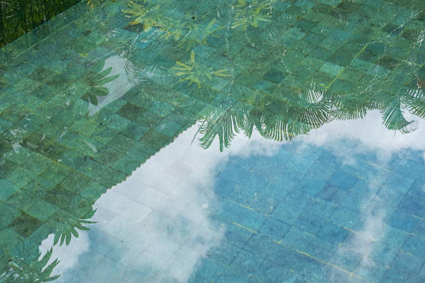 Reflection of foliage and sky in tiled swimming pool surface.