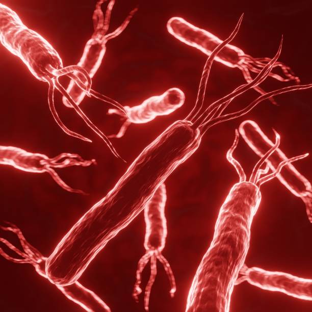 Helicobacter pylori bacteria cells on red background. Gastritis disease. 3d-rendering