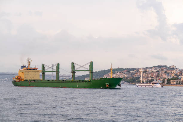 istock Freighter ship sailing along the Bosphorus with Istanbul's iconic skyline 2167345238