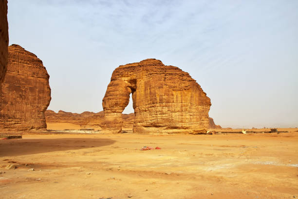 istock Stone Elephant in the desert close Al Ula, Saudi Arabia 2167346156