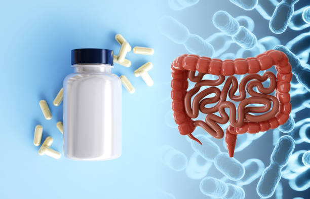 istock Human intestines with probiotics 2167348488