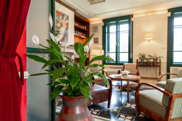istock Elegant Vintage Boutique Hotel Lounge 2167348656