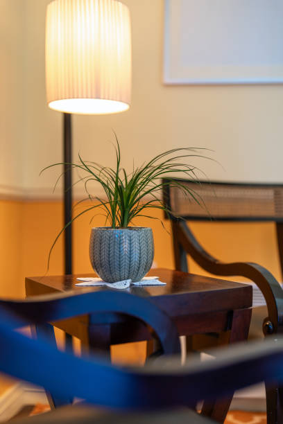 istock Elegant Vintage Boutique Hotel Interior 2167348718
