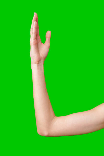 istock Woman's Right Arm Raised Against a Green Screen Background 2167348837