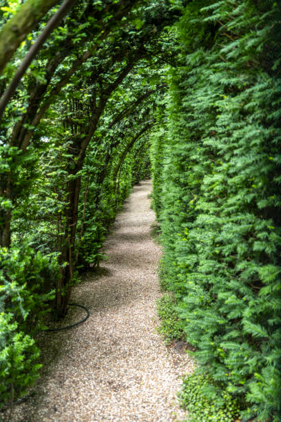 istock Green plant arches 2167355093