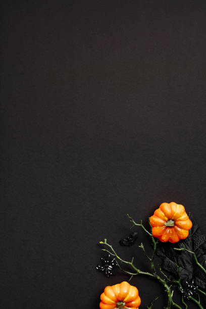 istock Halloween flat lay composition with pumpkins, branch with spiders and bats on black background. Happy Halloween vertical banner mockup. 2167357209