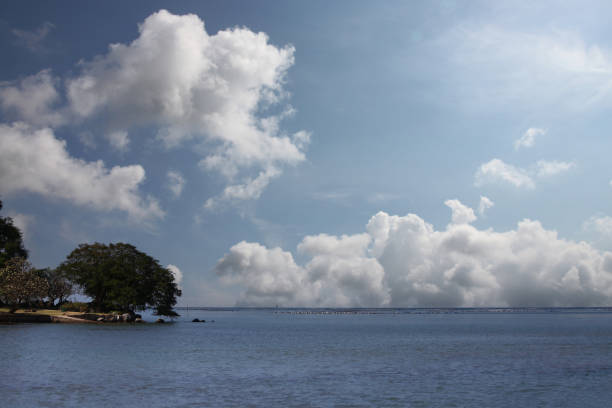 Trees near the seashore on a clear day with clouds in the sky, seaside is a tourist attraction in Chonburi Province, Thailand.