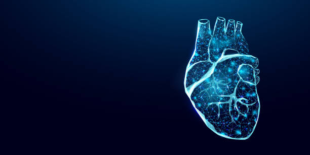 istock Human heart wireframe. World heart day concept. Banner template glowing low poly. Futuristic modern abstract. Isolated on dark background. Vector illustration. 2167367612