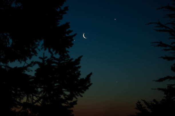 istock Moon, stars, planet conjunction and landscape scenery silhouettes. 2167371529