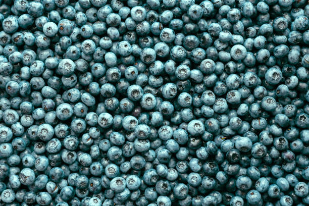 istock Fresh sweet blueberry berries closeup 2167372163