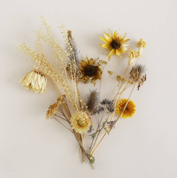istock Dried flowers bouquet top view on beige background. 2167377073
